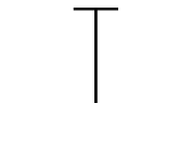 Team Tiffin